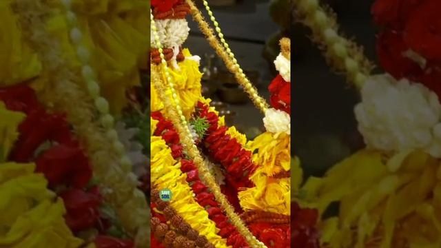 Saptarishi Arati at Isha Yoga Center, 2022 #shorts смотреть онлайн