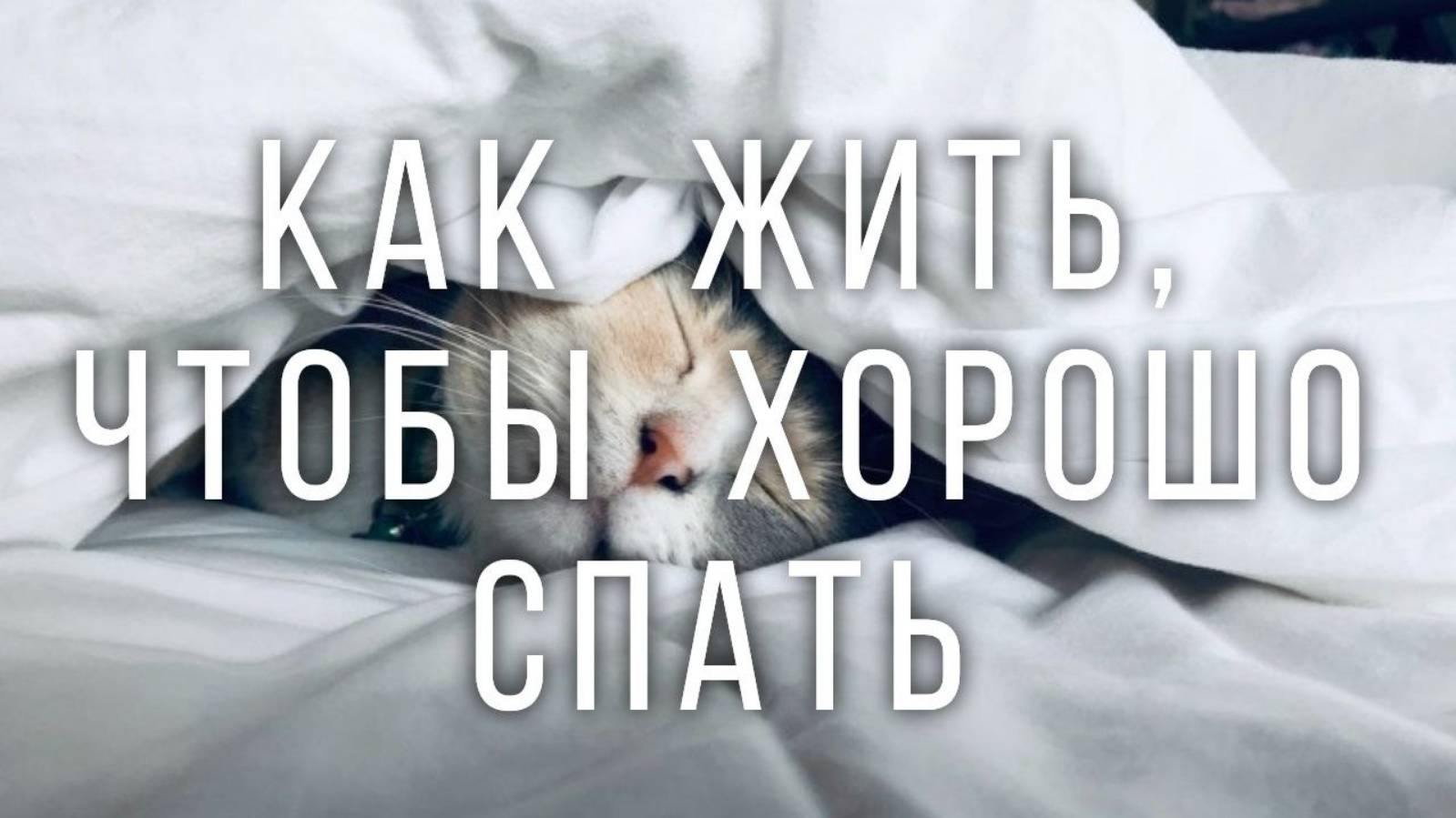 Как жить, чтобы хорошо спать
