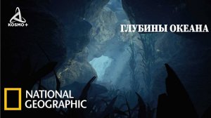 С ТОЧКИ ЗРЕНИЯ НАУКИ: МОРСКАЯ БЕЗДНА | NATIONAL GEOGRAPHIC