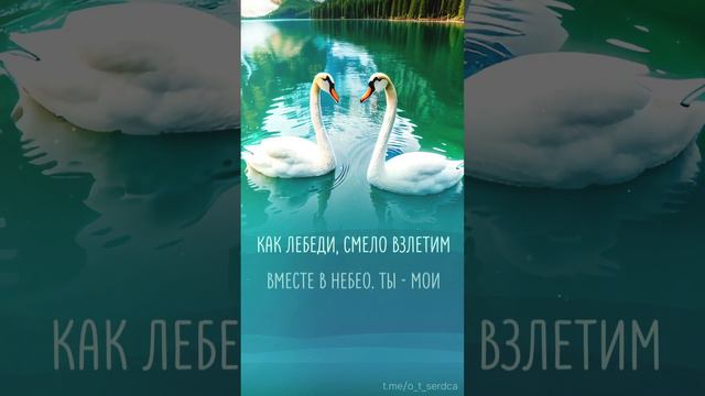 Видео поздравление любимому человеку - пожелания на каждый день. смотреть онлайн