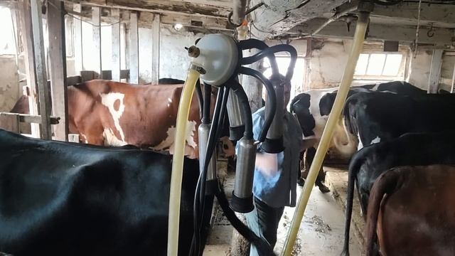 Обработка коров Цветы для жены смотреть онлайн