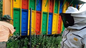 ? Павильонное пчеловодство на Урале - Слёт Уральских пчеловодов Промышленная пасека