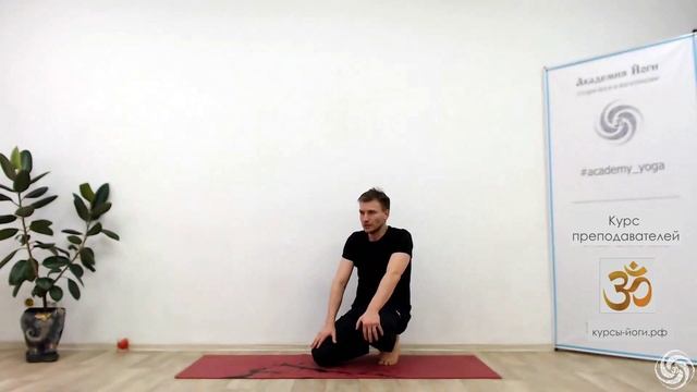 4. Пинча маюрасана