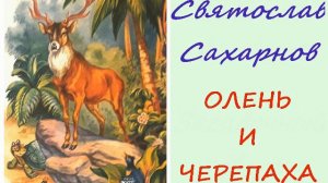 Святослав Сахарнов. Олень и черепаха. Аудиорассказ