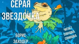 Серая звездочка