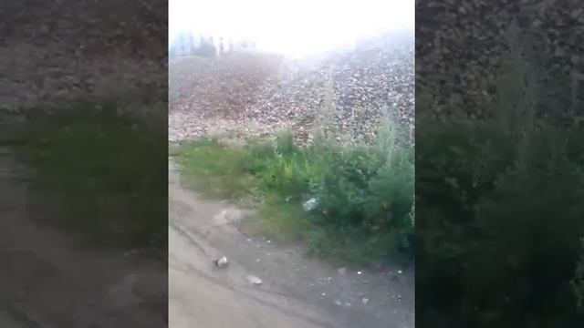 Где и куда смотрит правительство? смотреть онлайн