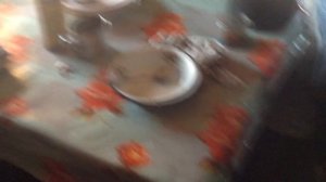 Изба охотника. деревня Согом. Ханты-Мансийский район