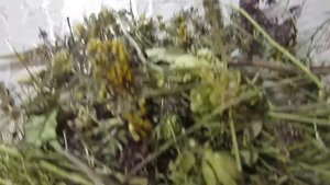 УСПОКАИВАЮЩИЙ СЕРДЕЧНЫЙ СБОР ИЗ 11 ТРАВ, РАСТУЩИХ В РОССИИ