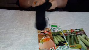 ПРЕДПОСЕВНАЯ ОБРАБОТКА СЕМЯН: тыквы, патиссонов, кабачков и огурцов.