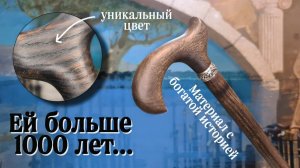 Красивая трость для мужчины | "Дворянин" из мореного дуба (обзор)