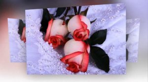 С ДНЕМ РОЖДЕНИЯ ОФЕЛИЯ