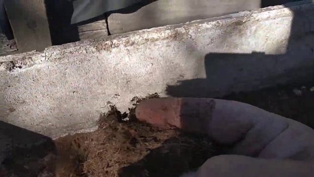 Применяю измельчитель для уменьшения фракции торфа смотреть онлайн