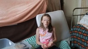 Плюсы (+) и минусы (-) хомяков.