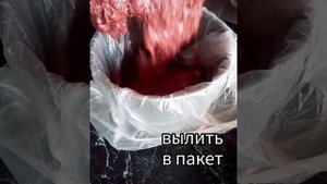 Сальтисон из свиной печени