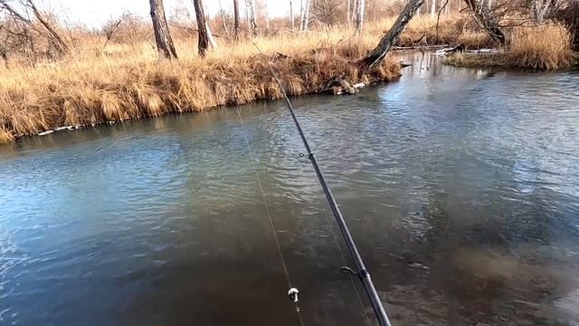 Рыбалка на Хариуса/Новые ДИКИЕ места/Сказали Хариус скатился,ЛОЖЬ и ПРОВОКАЦИЯ! новые МУХИ. смотреть онлайн