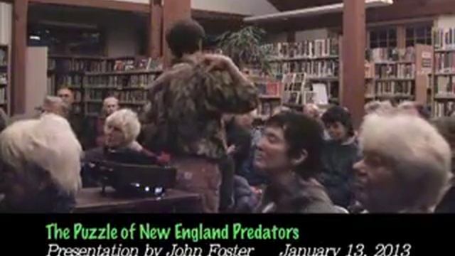 The Puzzle of New England Predators- with John Foster 1/13/13 смотреть онлайн