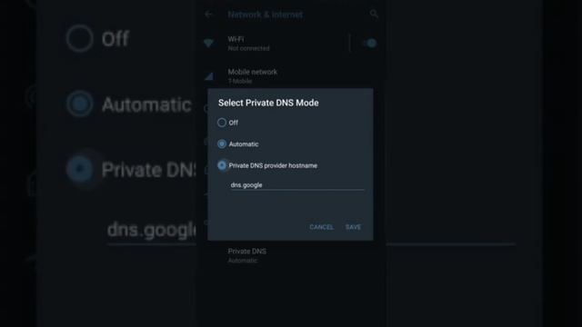 How to enable Private DNS on Android