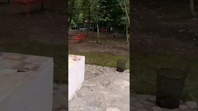 гусарский район . Qusar Rayonu#гусарскийрайон