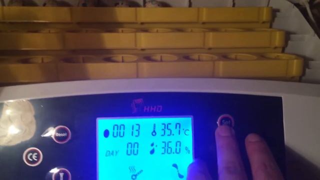 Инкубатор дома, загрузка яиц, перепёлки смотреть онлайн
