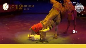 “Цирк зажигает огни” – яркое летнее шоу с 12 июня 2021 в Тульском цирке!