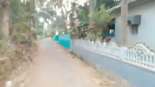 Гоа. 25 февраля 2023 год. QUEPEM. отвечаю на ваши вопросы. смотреть онлайн