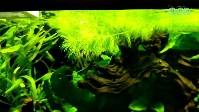 Красивейшие домашние АКВАРИУМЫ сделанные своими руками! смотреть онлайн