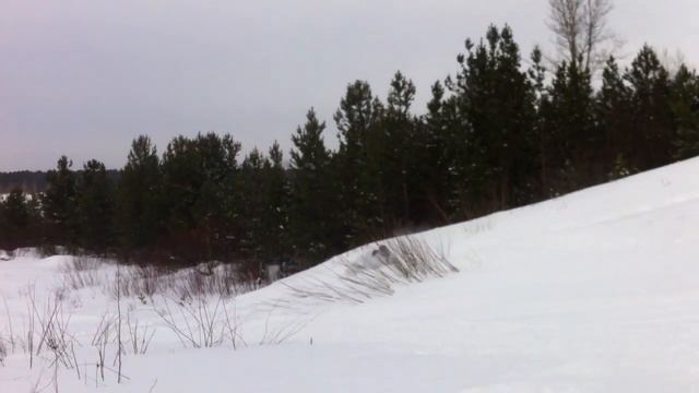 На бублике Барнаул 2017 смотреть онлайн