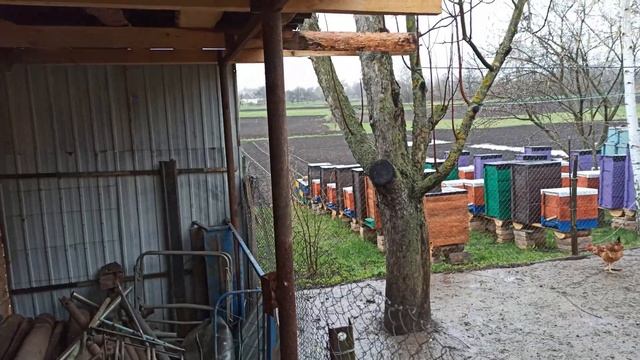 Чи варто купувати відпрацьована грибні блоки ГЛИВИ(Вешенки) смотреть онлайн