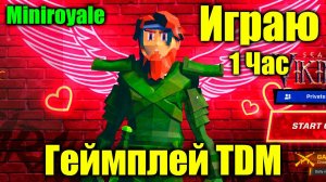 Геймплей в режиме TDM в Miniroyale Игра с вектора, играю час в Мини рояль