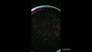 25 июля 2023 г.