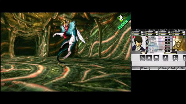 Shin Megami Tensei IV [Citra] {Part 48} Exploring Roppongi Region & Cameron Building смотреть онлайн