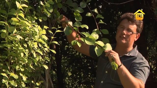 Живая беседка смотреть онлайн