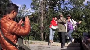 Ramshackle Munich Teaser