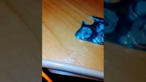 Как сделать мигающую подсветку своими руками