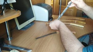 КВОК НА СОМА. Эволюция.