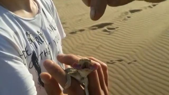 Красивейшие места планеты. Дагестан. Часть 1. Сарыкумский бархан. Лето 2016 смотреть онлайн