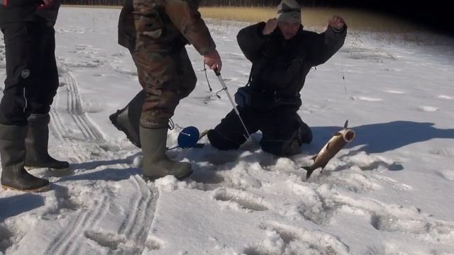 Зимняя рыбалка с ночевкой! Щука и налим на жерлицы. Плотва на мормышку. Шашлык, камин и все дела... смотреть онлайн