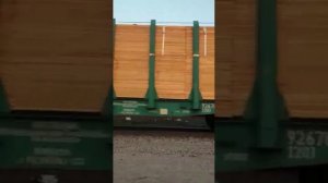 Грузовой поезд ТЭ33А Со станции Медеу до вокзала Алматы-1