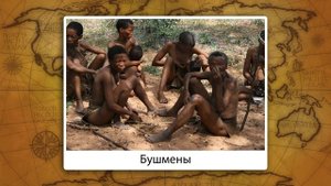 Состав, политическая карта, население Африки. Видеоурок по географии 10 класс