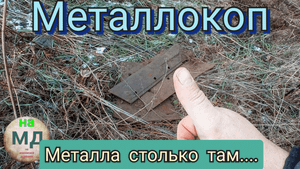 МЕТАЛЛОКОП| металл в доль полей