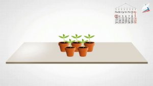 5 класс биология урок 2 Основные методы исследования в биологии Рэш