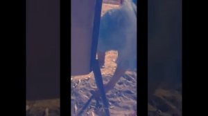 Настоящий Ангел...*