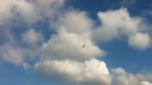 Отвалилось крыло