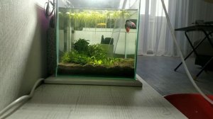 Один из лучших сифонов для аквариумов.