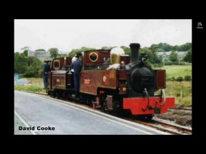 разбор фреди