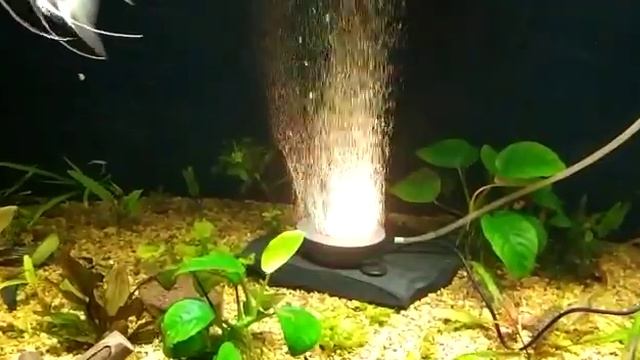 Распылитель воздуха для аквариума с диодной подсветкой и дистанционным управлением смотреть онлайн