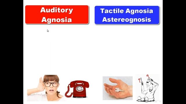 Aphasia, Agnosia and Apraxia, Dr Adel Bondok Making Anatomy Easy