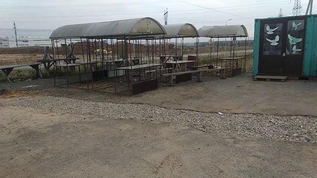 Рынок голубей в Климовске ( Коледино) смотреть онлайн