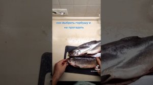 Как выбрать горбушу и не прогадать