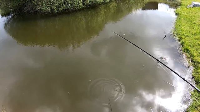 Лучшие воблеры на щуку 2020.Топ 5 воблеров Страйк Про. Топ воблеров 2020. Ловля щуки 2020 смотреть онлайн